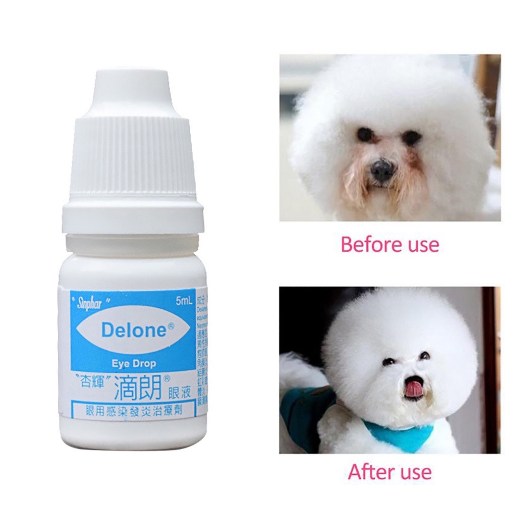 Gentamicin Eye Drops For Pet Cat Dogs 5ml Shopee Philippines
