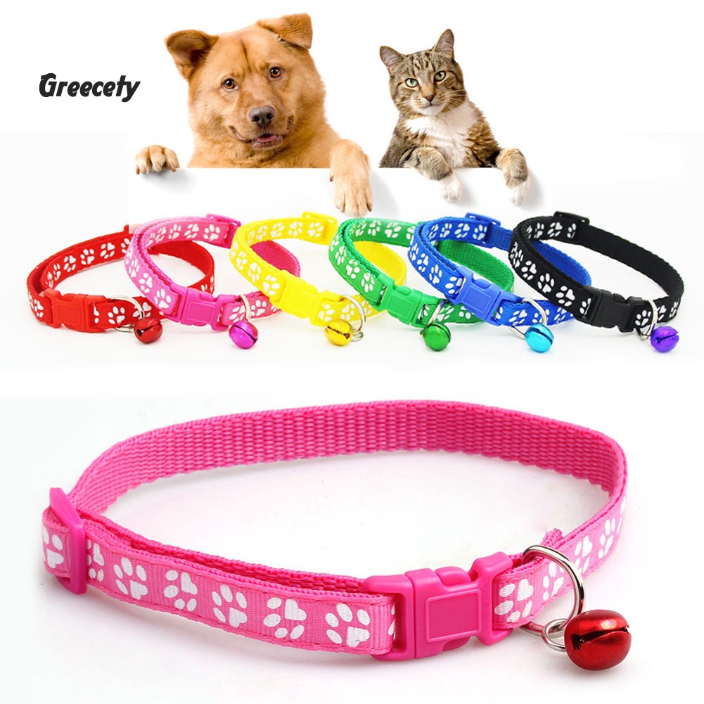 fashion dog collar