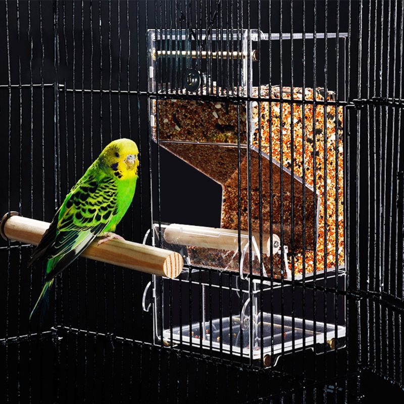 automatic mealworm feeder