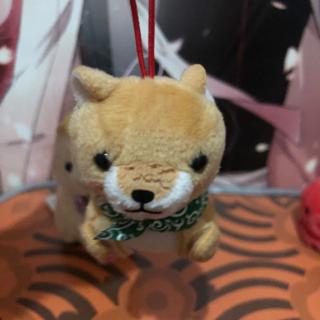 shiba inu preloved