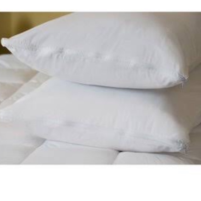 Pillow Protector Allergy Free Shopee Philippines