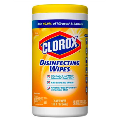 Clorox Disinfecting Wipes Value Pack Bleach Free Cleaning Wipes 75 Count Shopee Philippines