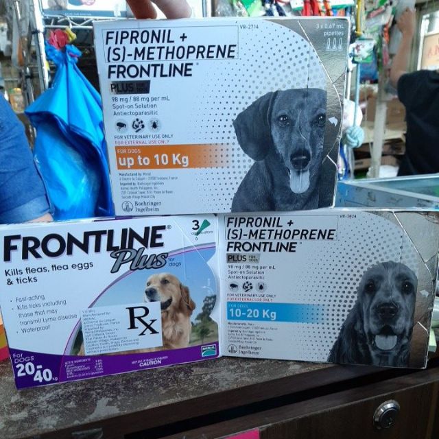 frontline plus blue