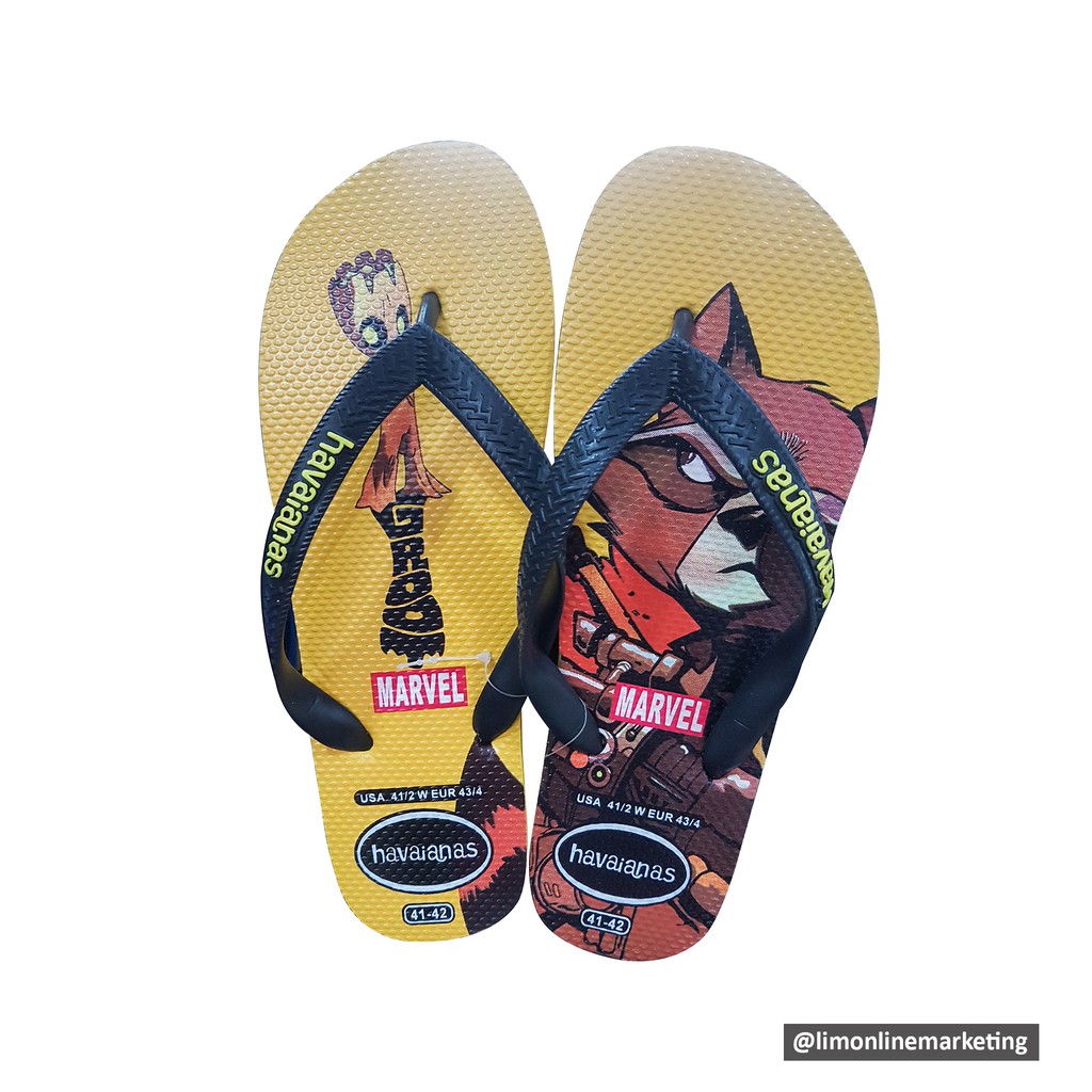 havaianas groot