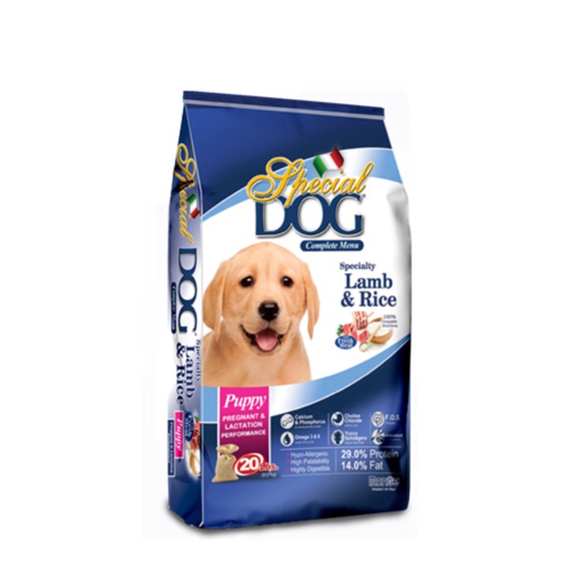 best submersible aquarium filter