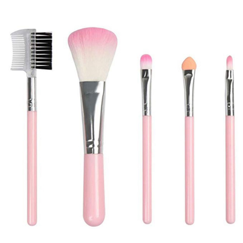 blusher brush kit