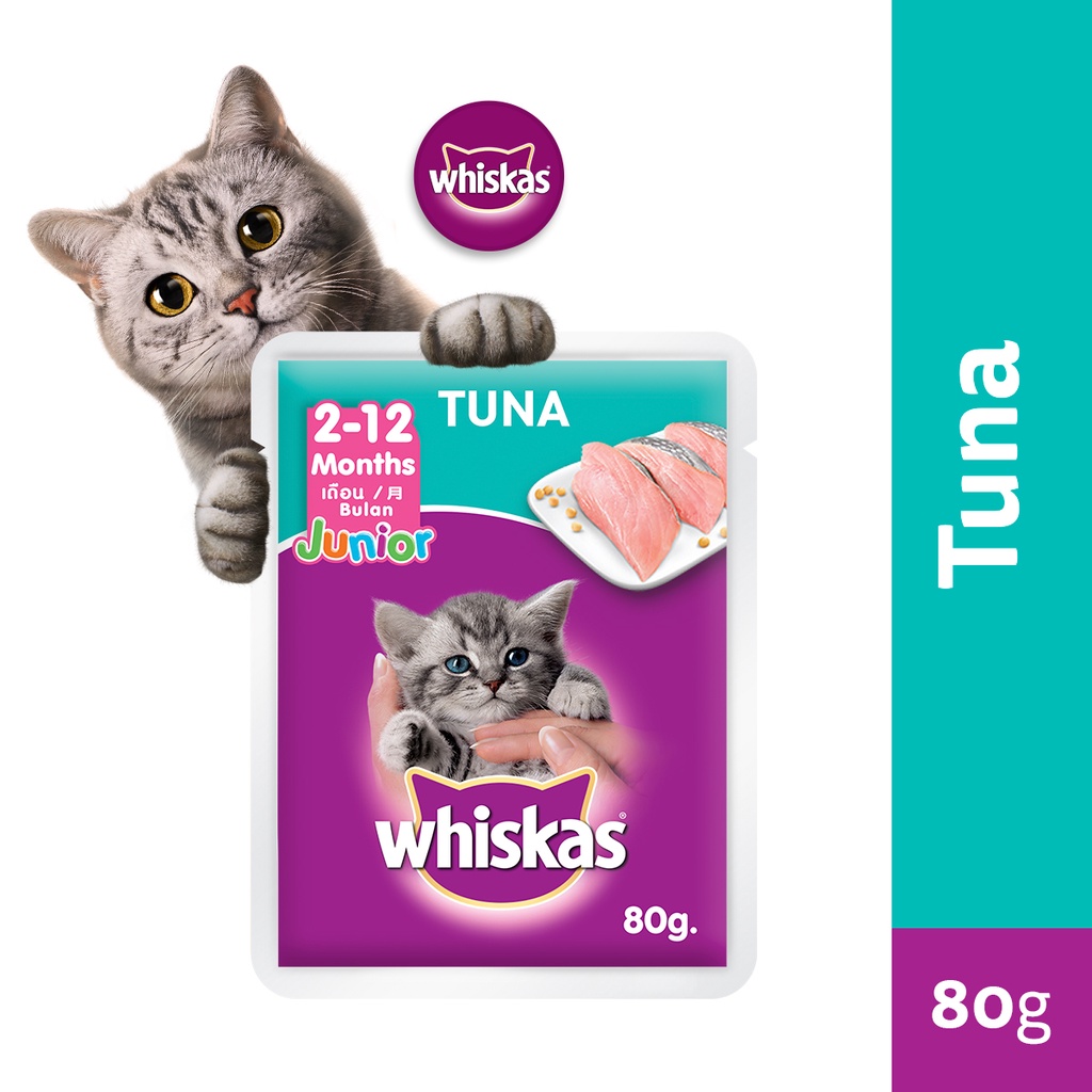 WHISKAS Junior Kitten Food Pouch Kitten Wet Food in Tuna Flavor, 80g. Shopee Philippines