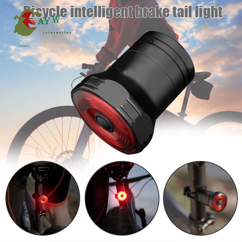 smart usb taillight