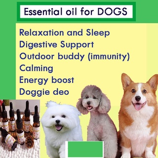Essential oil blends for DOGS 10 ml dropper bottle