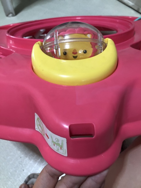 pink petals jumperoo