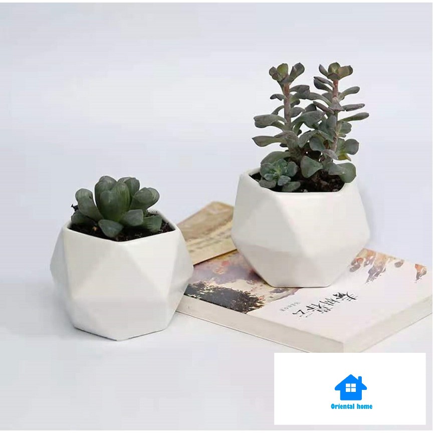 Brand New White Ceramic Geometric Pot Planter for Succulents & Cactus Flowers 