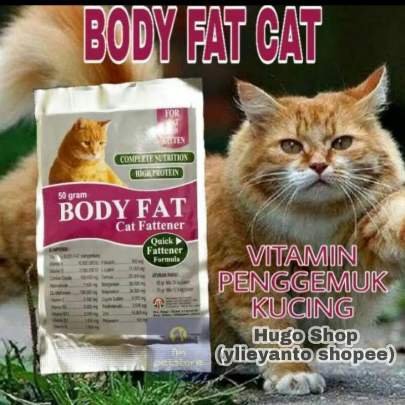 Body fat cat 50 Grams Of cat Fattening Vitamins / cat fattener body