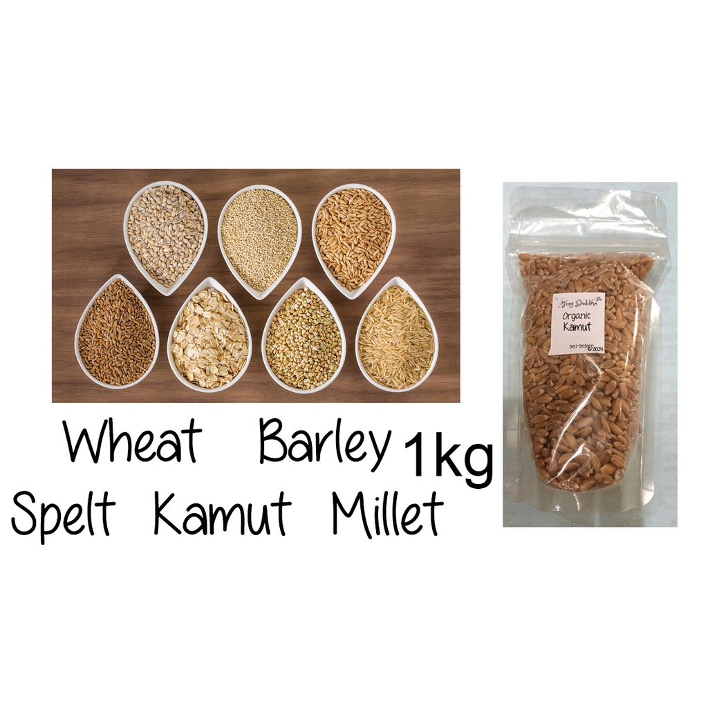 organic Spelt / Kamut / Wheat / Barley / Millet grains berries bulk