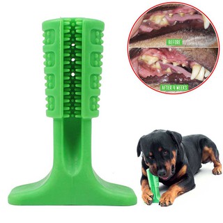 tooth brushing dog toy