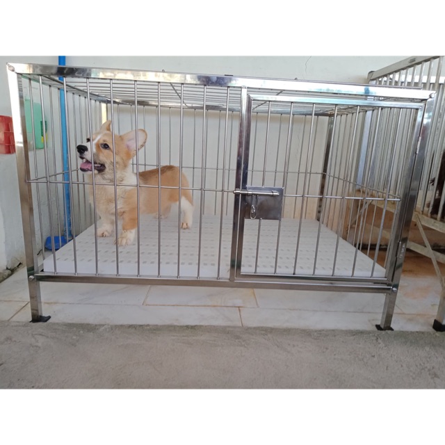 dog kennel steel