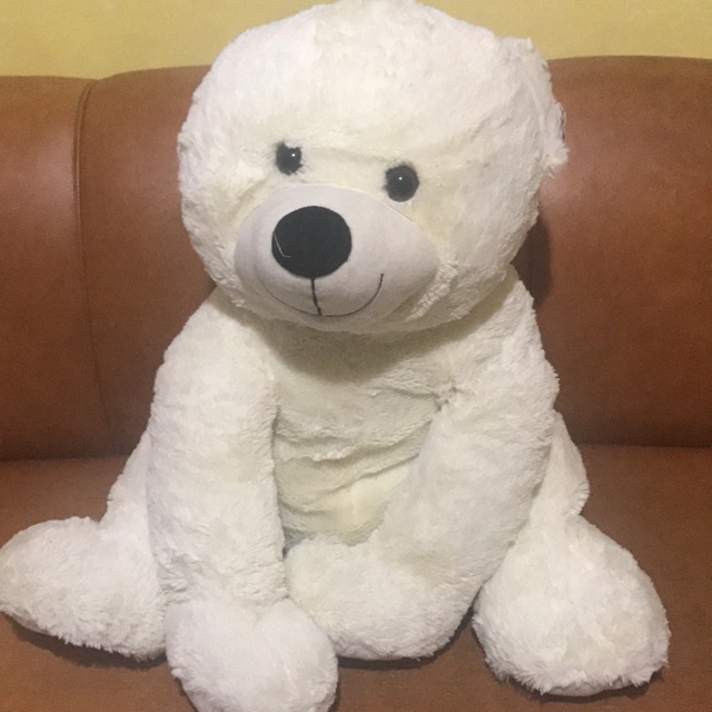 teddy bear shopee