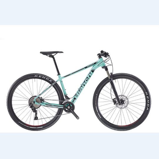 bianchi mountain bike for sale