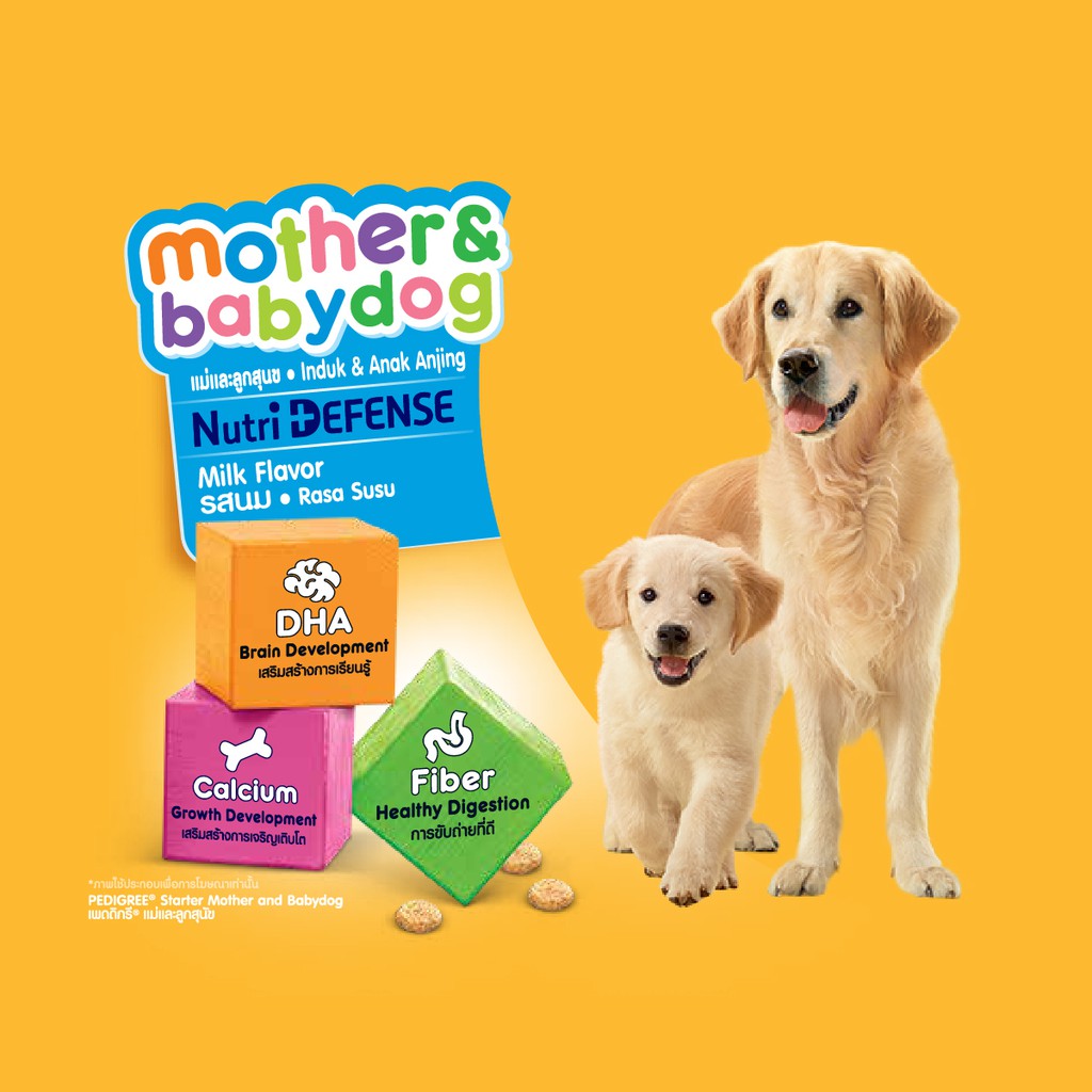 Pedigree Dog Food Puppy Mother Baby Dog 1 3 Kg Shopee Philippines