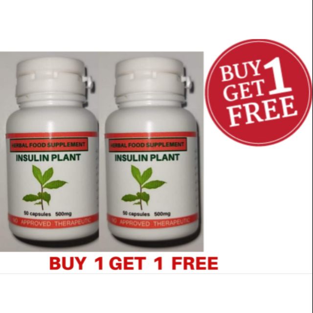 Insulin Plant Herbal 50Capsules Buy 1 Take 1 Free Shopee