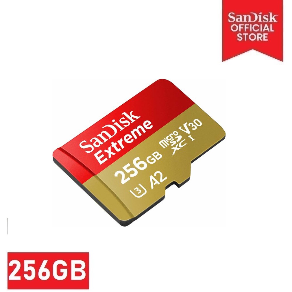 Sandisk SDSQXAV-256G-GN6MN 256GB Extreme Micro SD 190MB/s C10 | Shopee  Philippines