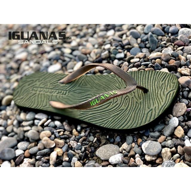 iguana slippers