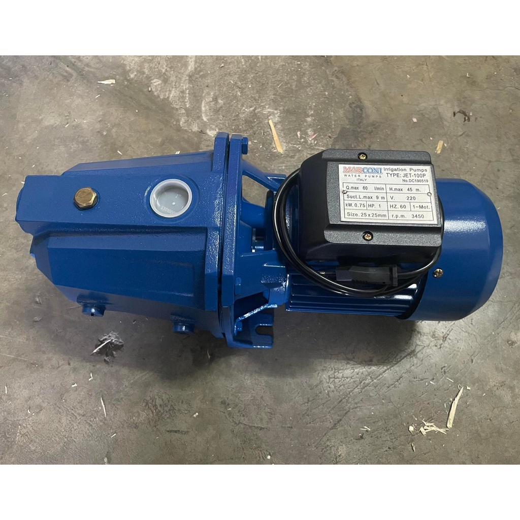 Booster Pump Water Pump Peripheral pump Marconi 1HP Jetmatic Self