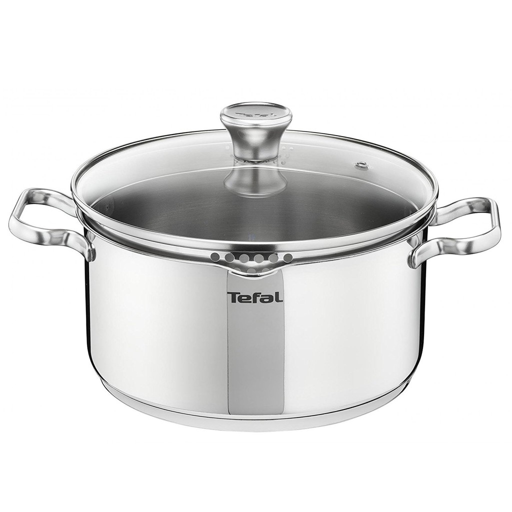 Tefal Duetto Stainless Steel Induction Stewpot (24cm, 4.7L) with Lid