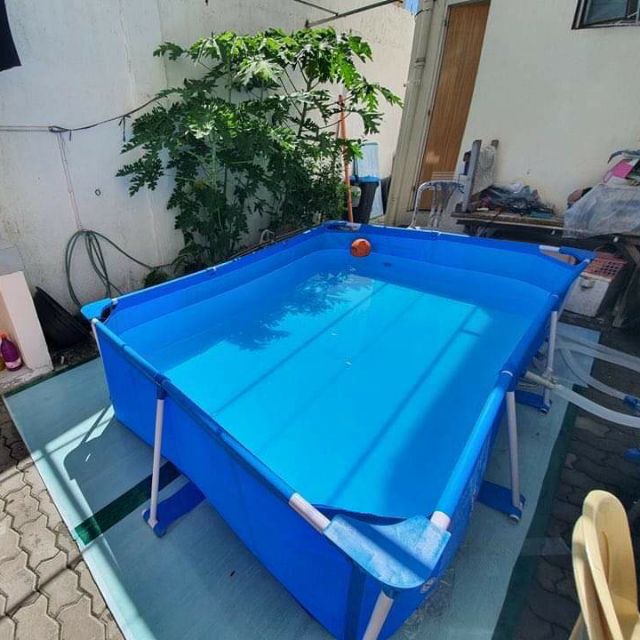 Swimming pool Steel Pro( 2.59m x 1.70m 