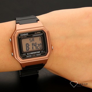 w217 casio