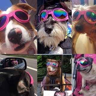 pink dog sunglasses