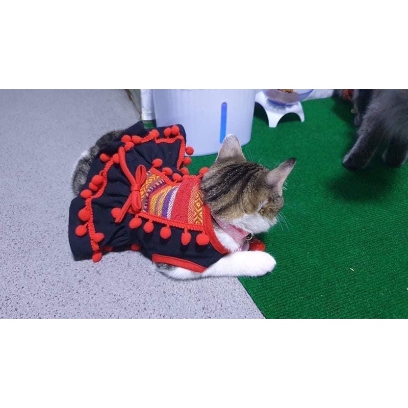 No. 2 Miao Set Doi Chao Costume Pet Dog And Rabbit #1