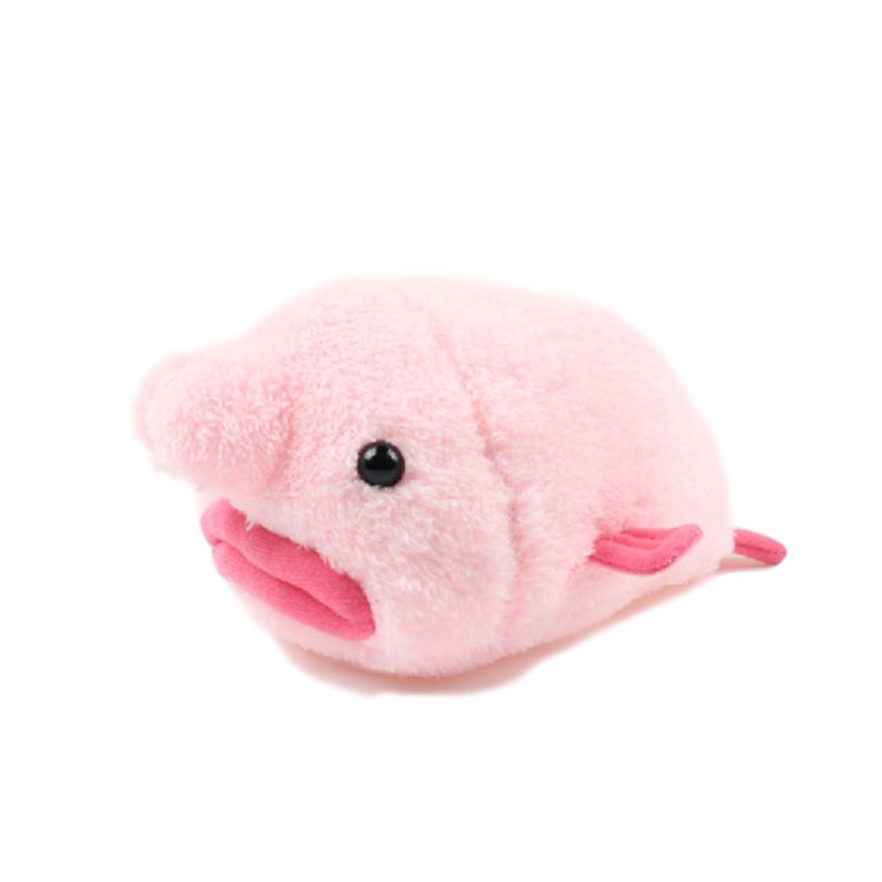 blobfish cuddly toy