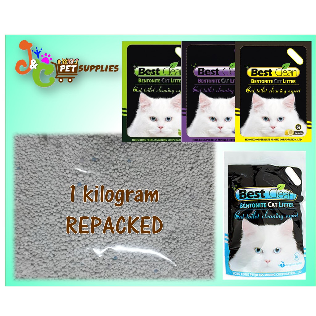 best cat litter sand