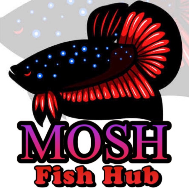 MOSH Fish Hub, Online Shop Shopee Philippines