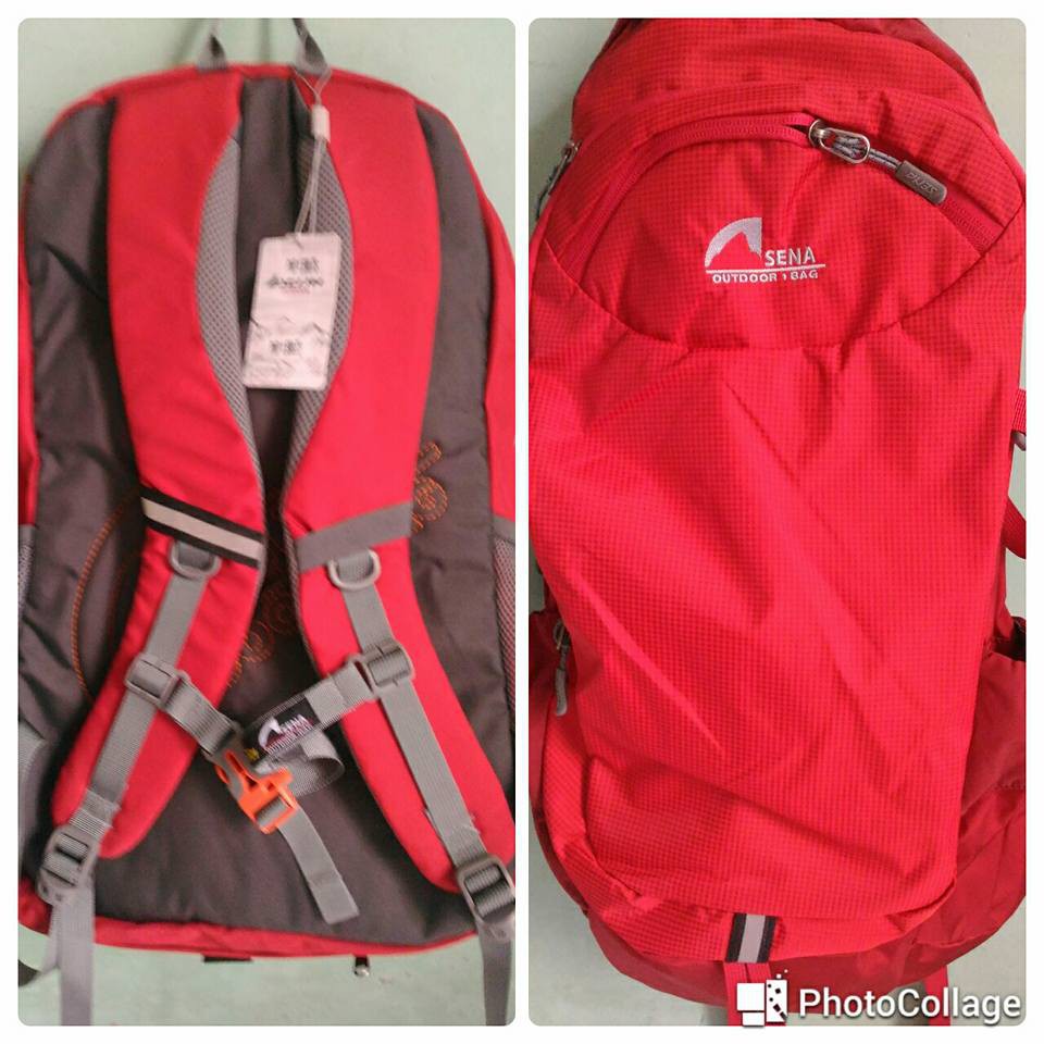 sena backpack price