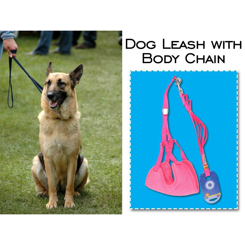 Dog Leash with Body Belt (22” x 6.5 