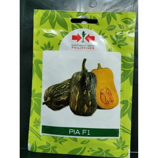 SQUASH PIA F1 SEEDS BY EASTWEST GARDEN PACK #4
