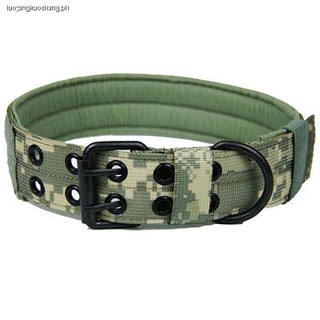 special dog collars