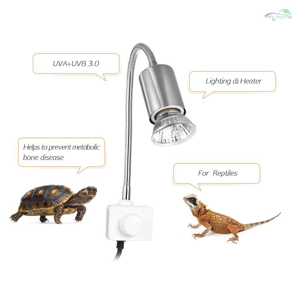 tortoise uv strip light