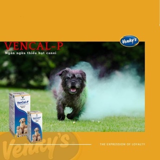 [Genuine]-- Wholesale] Vencal Supplements Calcium For Dogs And Cats Suitable For Bone Formation, For Dogs And Cats Who Lack Calcium Imported #4