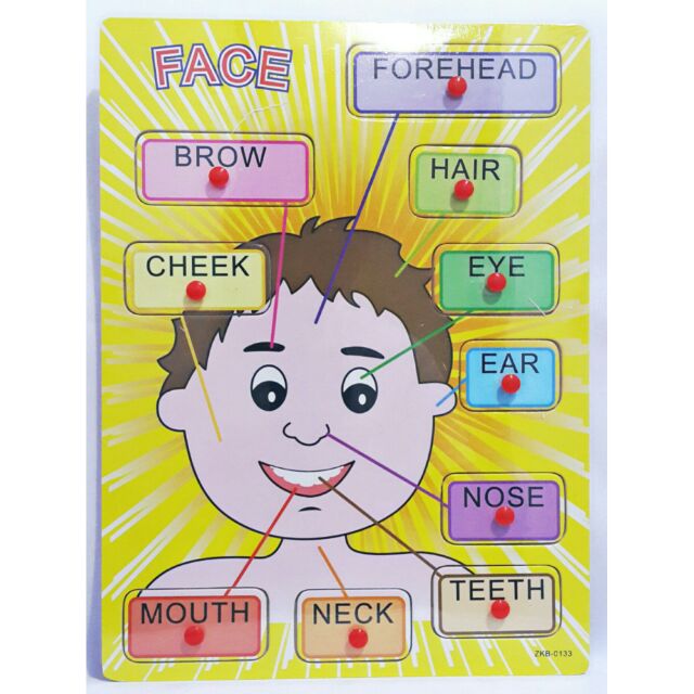 Wooden Puzzle Board - Parts of the Face (Boy and Girl) | creative toy