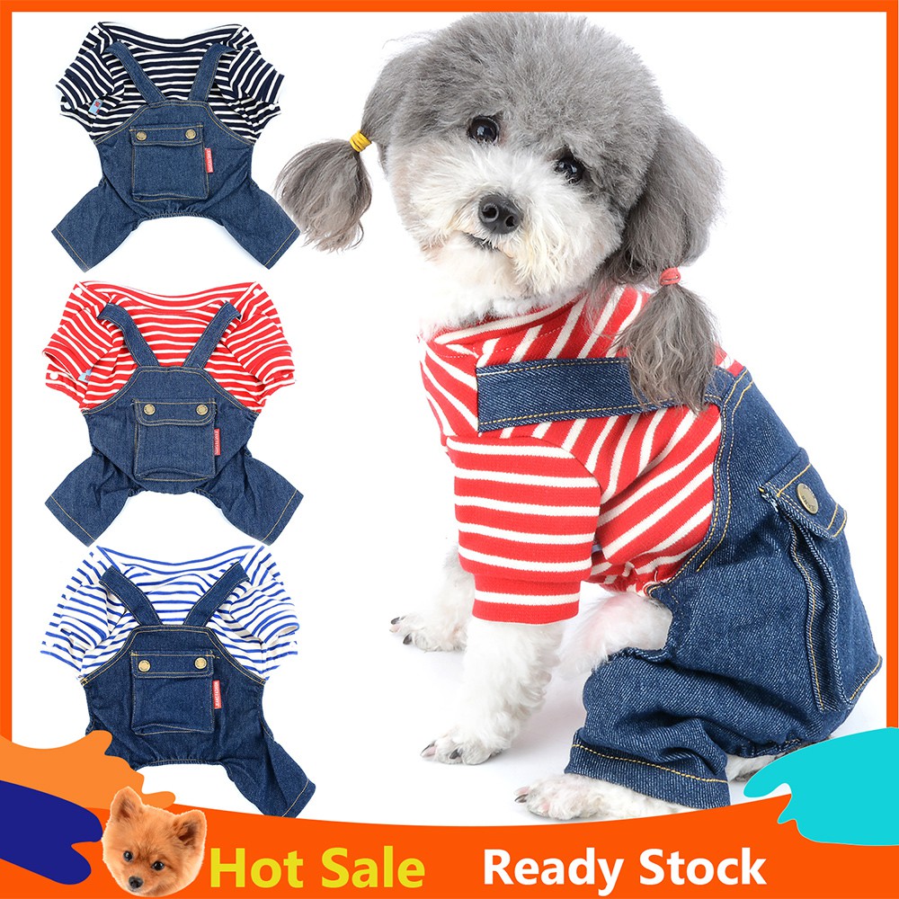 boy dog clothes cheap