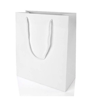 Download White matte laminated rope handle paper bag | Shopee Philippines