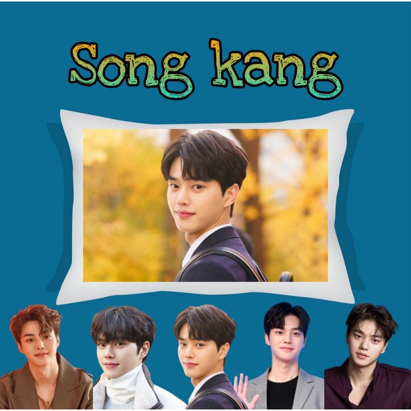 Song Kang Pillow 8x11 Song Kang Merchandise Love Alarm Sweet Home Song Kang Photocards Shopee Philippines