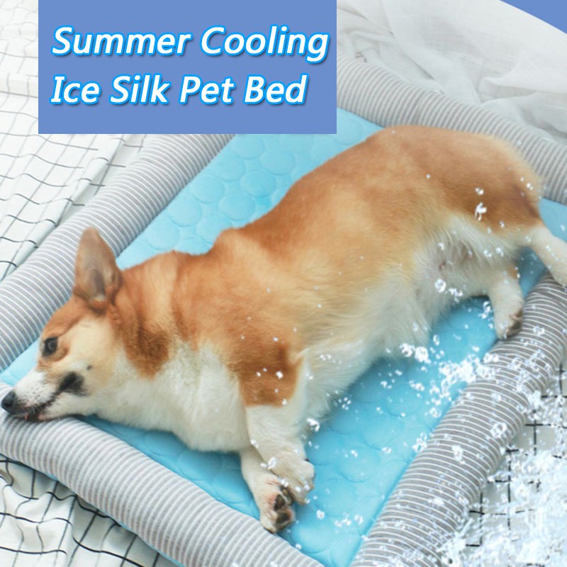 best dog bed for summer