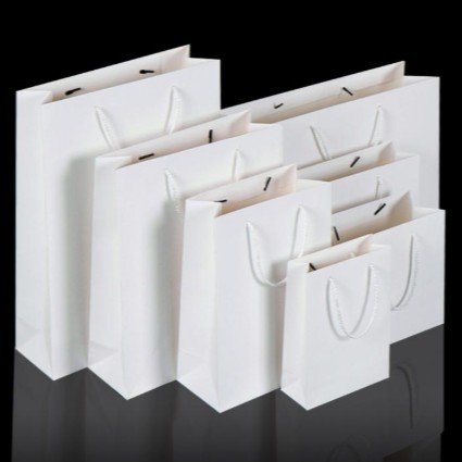 Download White matte laminated rope handle paper bag | Shopee Philippines