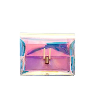 rainbow clear purse