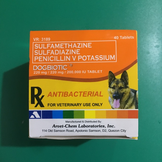 Can Dogs Take Penicillin V Potassium