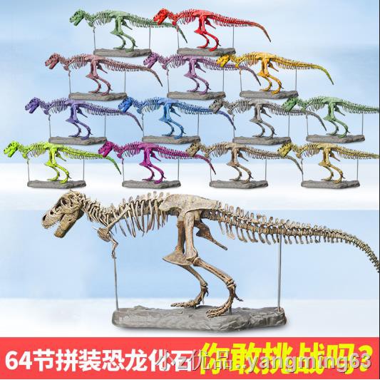 dinosaur assembly toy