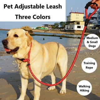 Pet Leash for Medium & Small Dog Pet Leash Walking Hiking Pet Adjustable Rope Training Leash